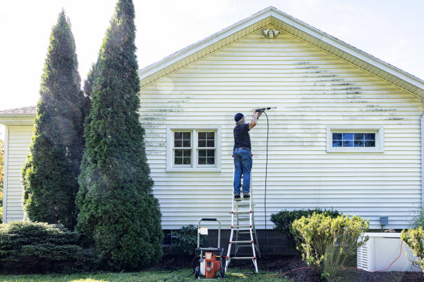 Best Gutter Cleaning in Lillington, NC