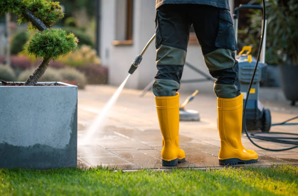 Best Window Cleaning in Lillington, NC